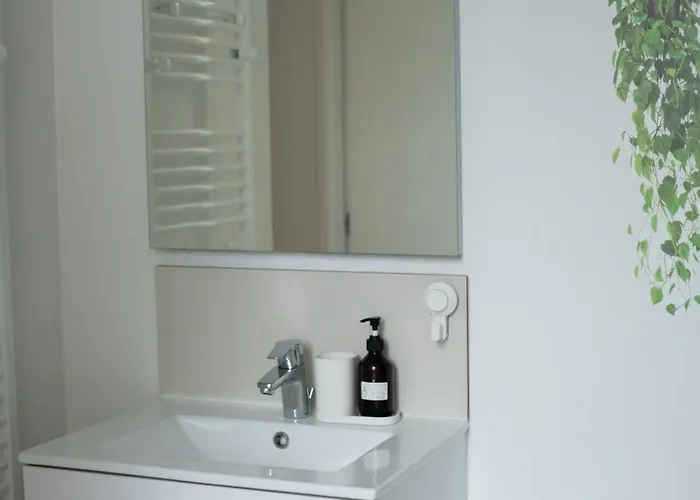 Calme Hypercentre Lumineux Arrivee Autonome Marie Celine