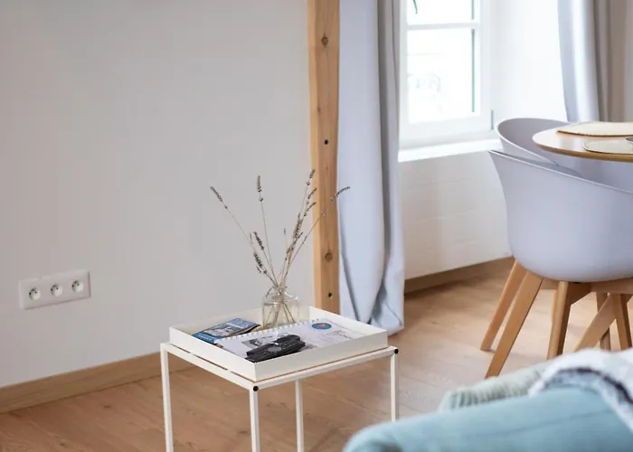 Calme Hypercentre Lumineux Arrivee Autonome Marie Celine Виши